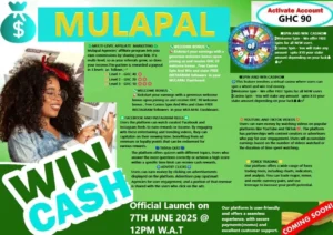 MULAPAL AGENCY