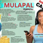 MulaPal Uganda – Your guide to online earnings | MulaPal | MulaPal Agencies | How does MulaPal Agencies works?