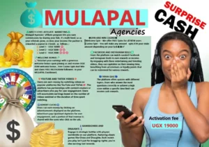 MulaPal – Your digital startup