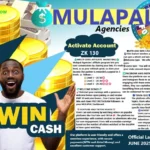MULAPAL – WHAT IS MULA PAL?