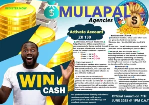 MulaPal – Your digital startup