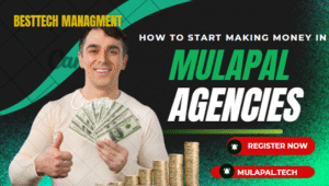 How to earn money with MulaPal Agencies in Botswana