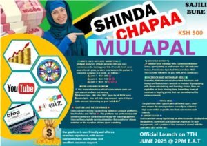 MulaPal Kenya: Your Gateway to Online Earning potential