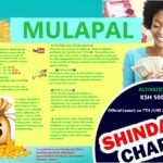 MULAPAL-MULAPAL AGENCIES KENYA -MULAPAL