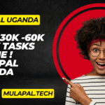 MulaPal – the ultimate destination for online earnings