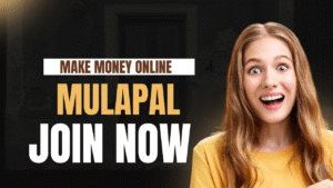 MulaPal-how to Money online