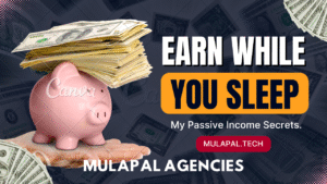 how MulaPal agencies works in kenya