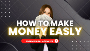 How MulaPal Agencies Works