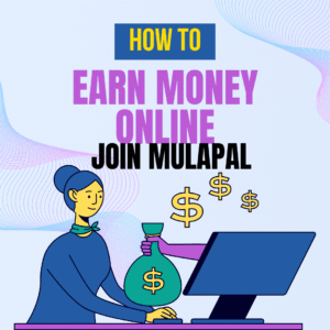 How MulaPal Agencies Works