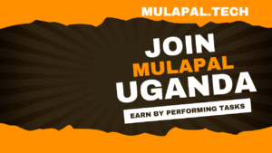 MulaPal – the ultimate destination for online earnings