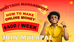 MULAPAL AGENCIES -How To make online In MulaPal