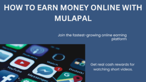 MULAPAL- MULAPAL AGENCIES